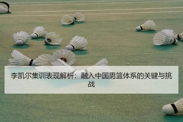 li-kai-er-ji-xun-biao-xian-jie-xi-rong-ru-zhong-guo-nan-lan-ti-xi-de-guan-jian-yu-tiao-zhan-2-977.jpg